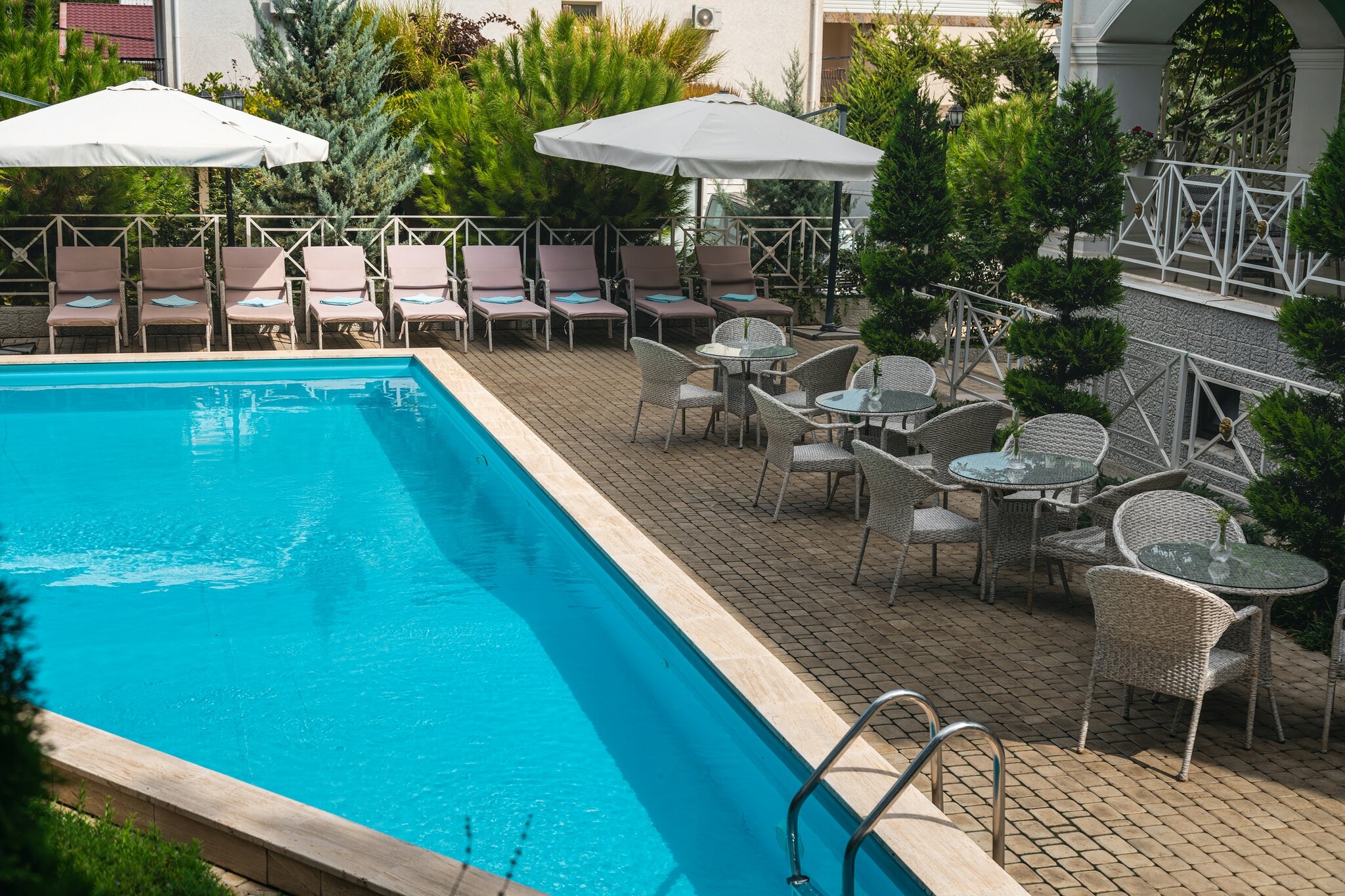 Фото Розмарин