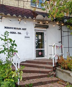 Bubble Cat (ulitsa Kirova, 43), cafe