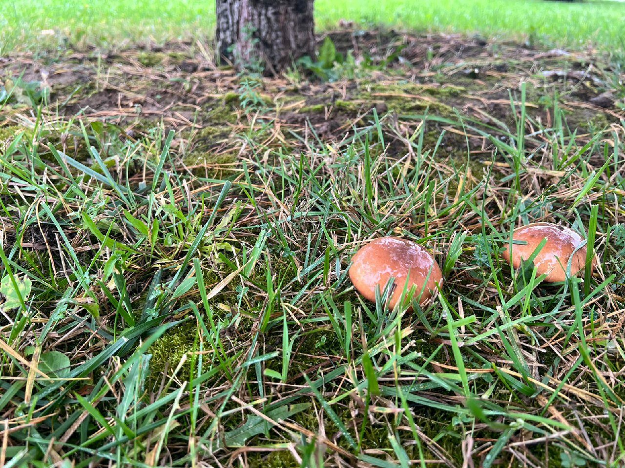 Фото На краю света