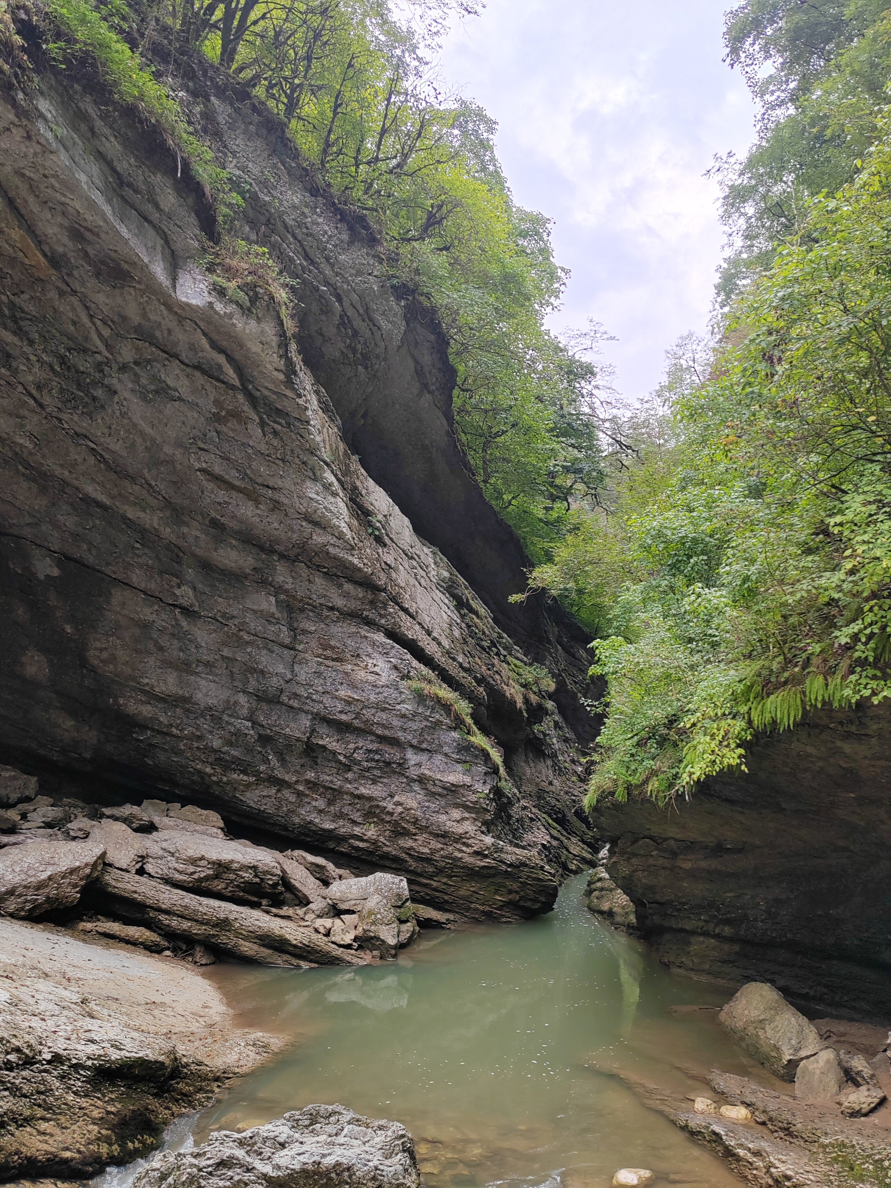 Фото Вероника