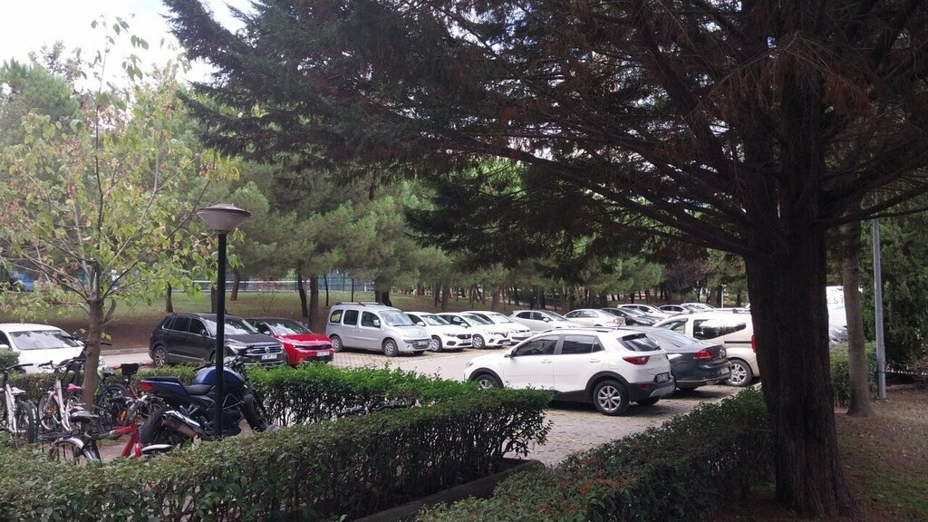 Stone articles and fixtures Abm Marble, Istanbul, photo