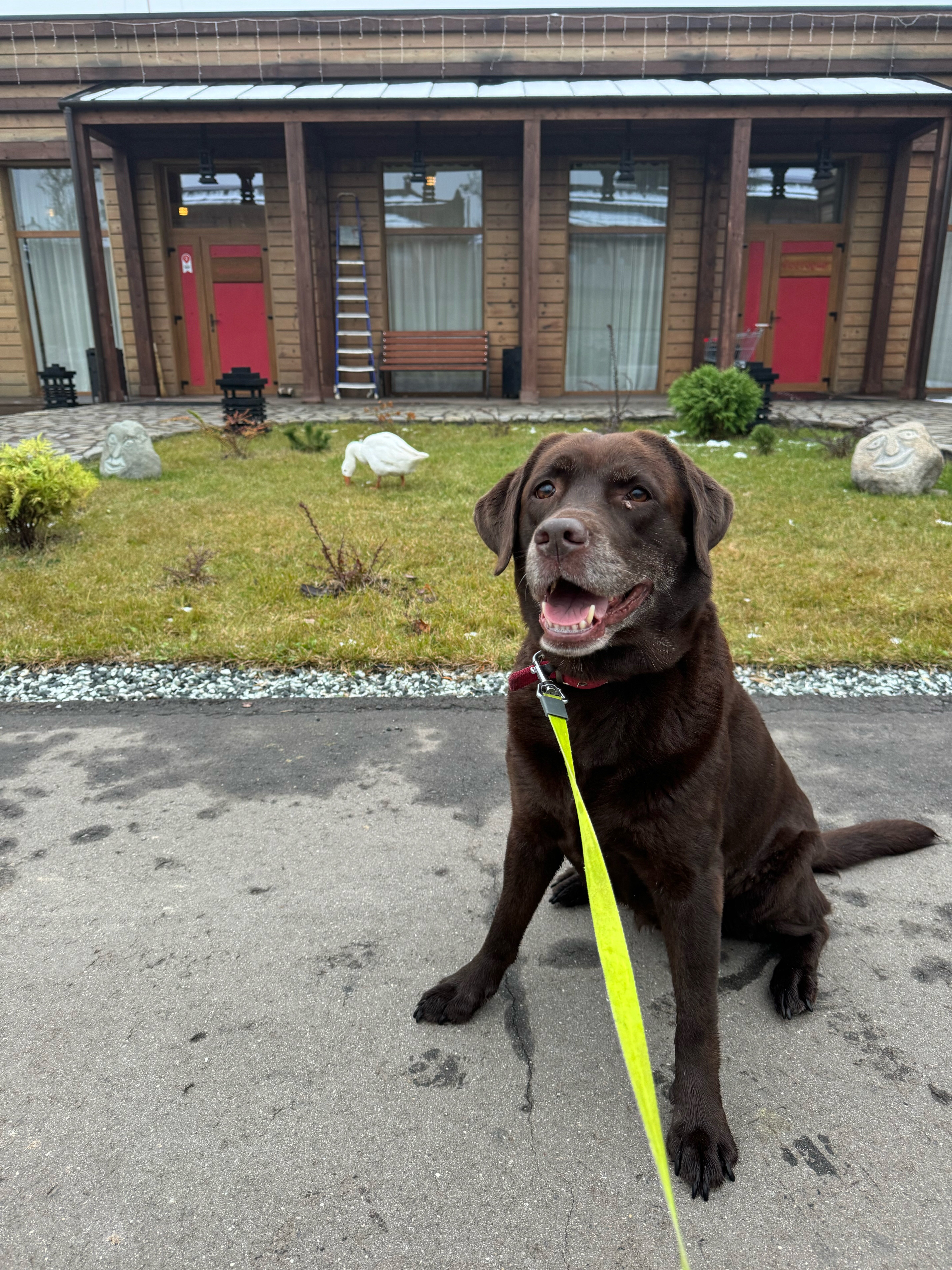 Фото Санрайз Вилладж