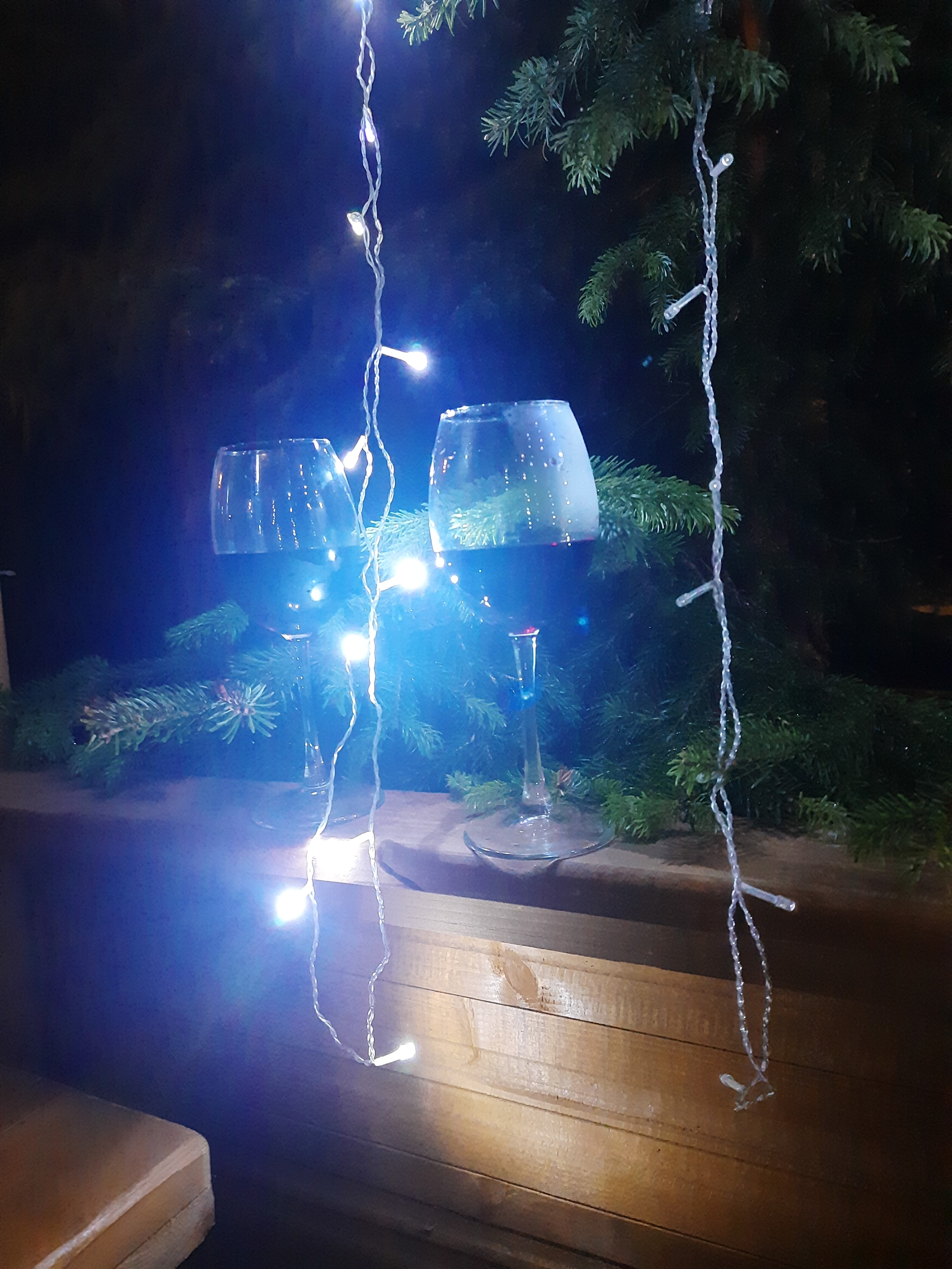 Фото Greenhouse 1599