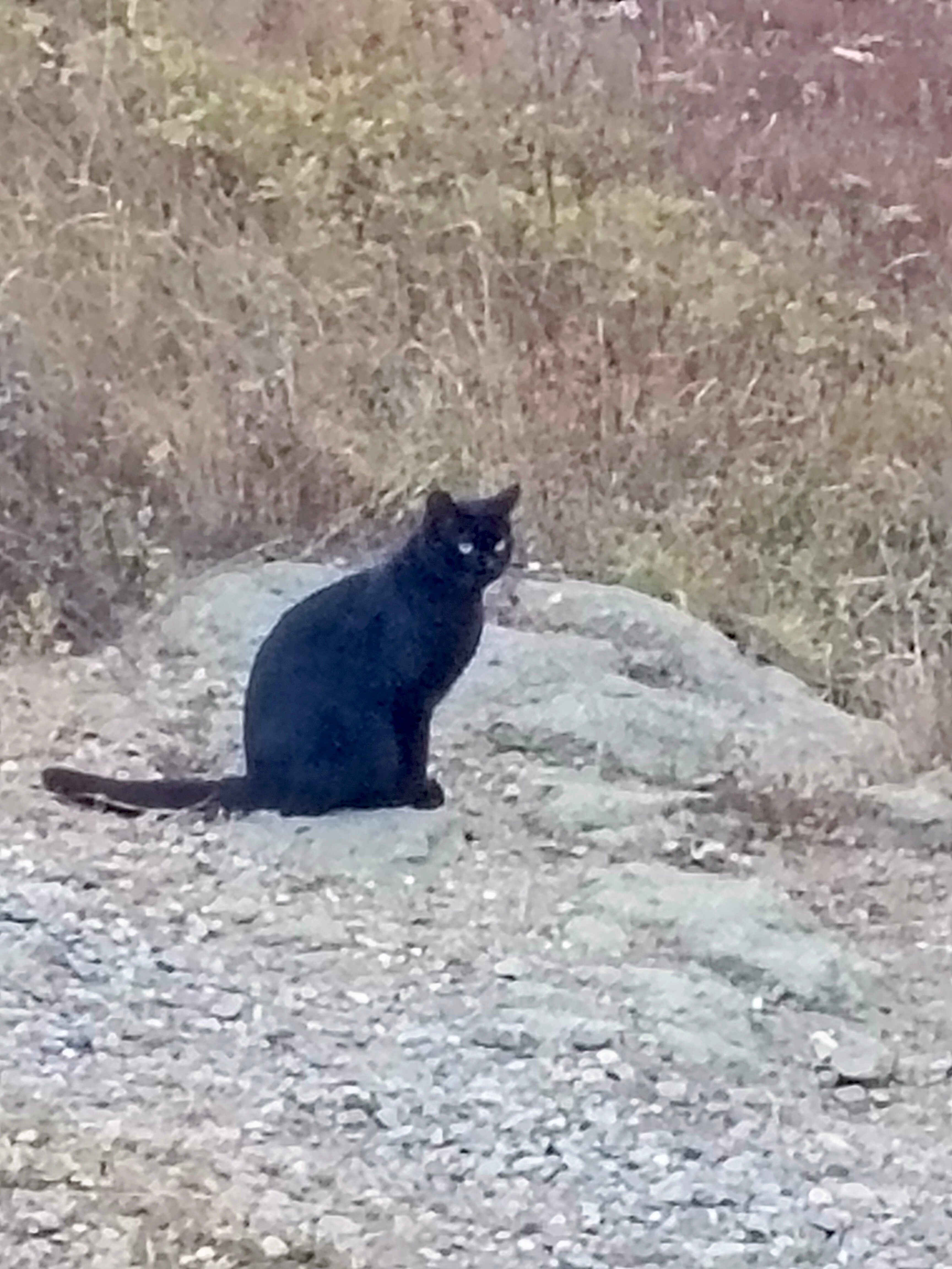 Фото Крестовая сопка