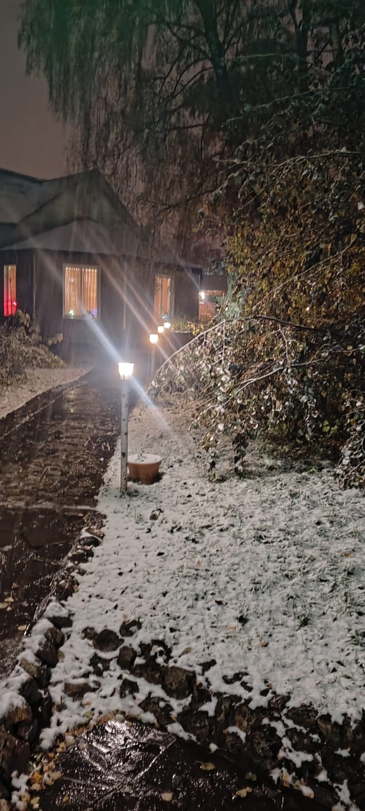 Фото Русский лес