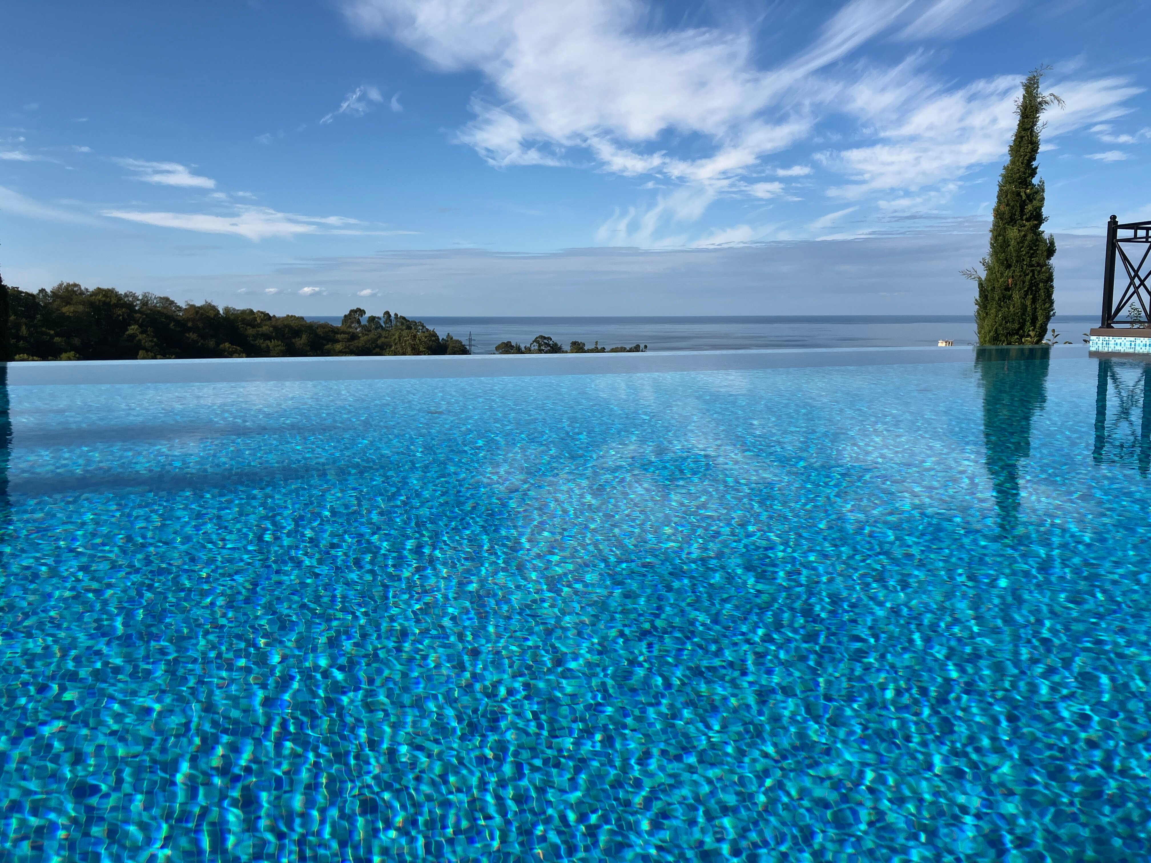 Фото 7 Кипарисов