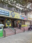 Altyn Pub (Abaı dańǵyly, 8) ، حانة، بار