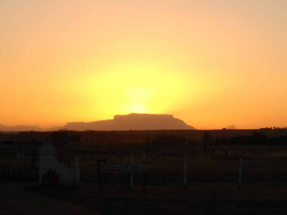 Фото Wild Clover Cottages