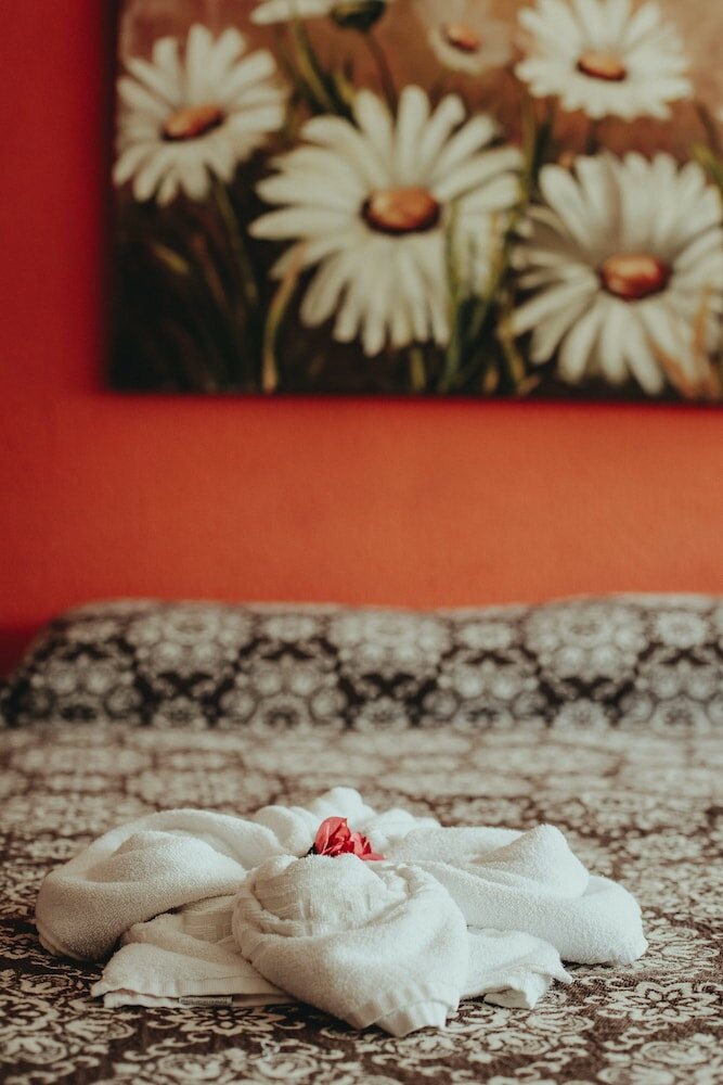 Фото Pousada Colinas da Lagoa