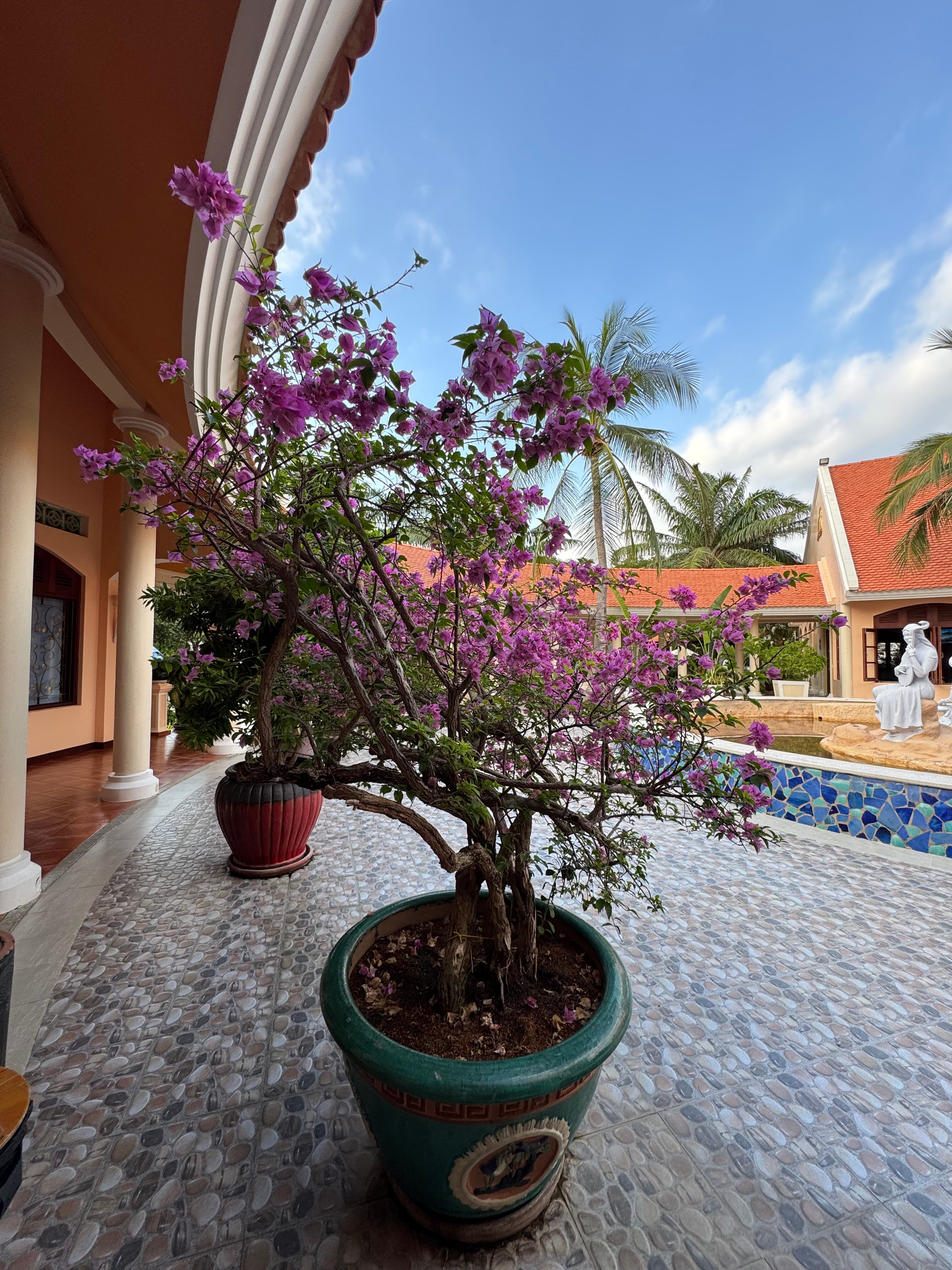 Фото Phu Hai Beach Resort & SPA Phan Thiet