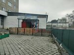 Chechil (Abay Avenue, 36), beer shop