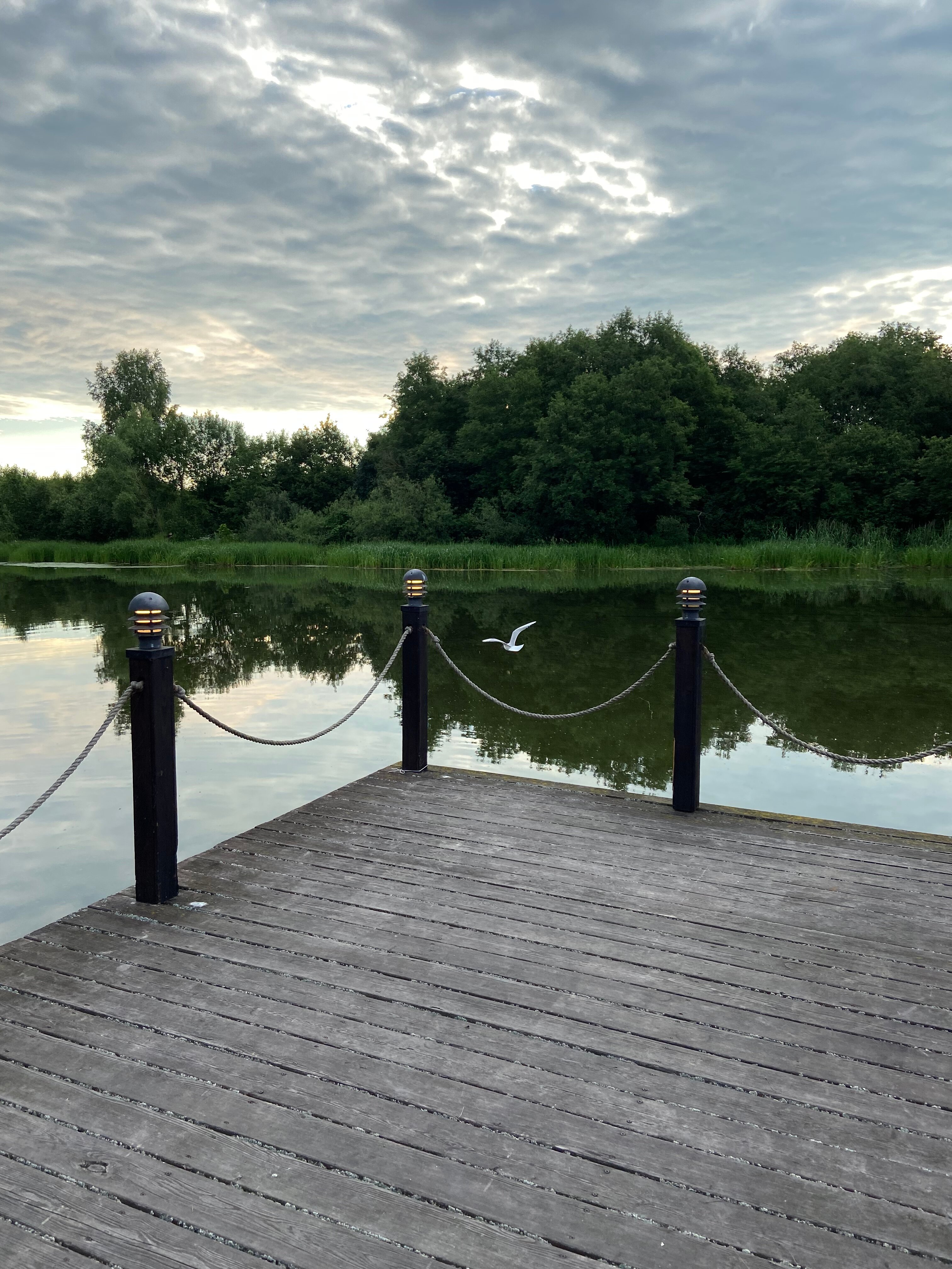 Фото Завидово Резорт