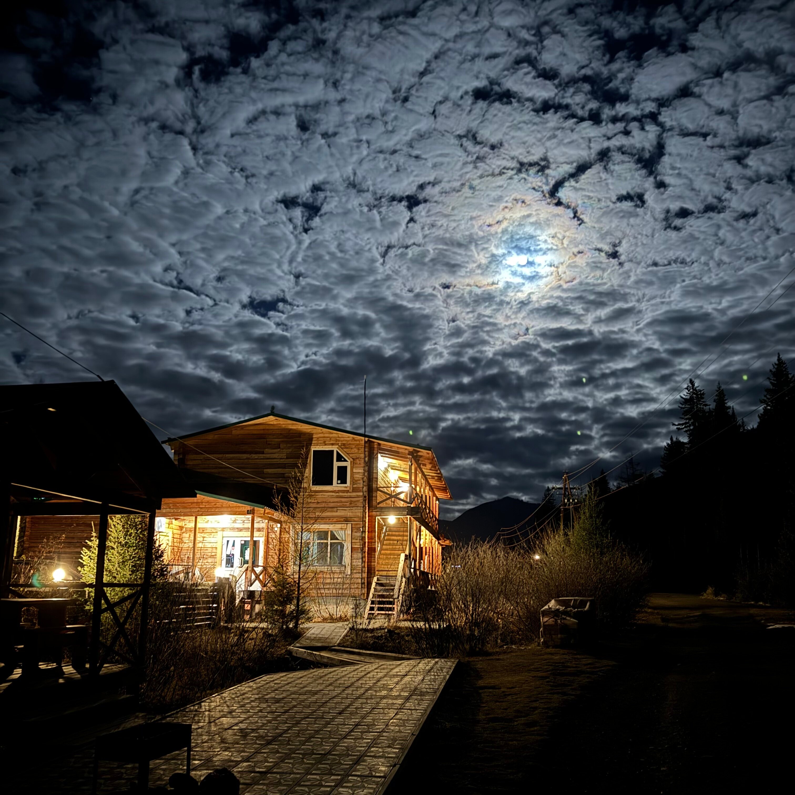 Фото Зелёный колобок