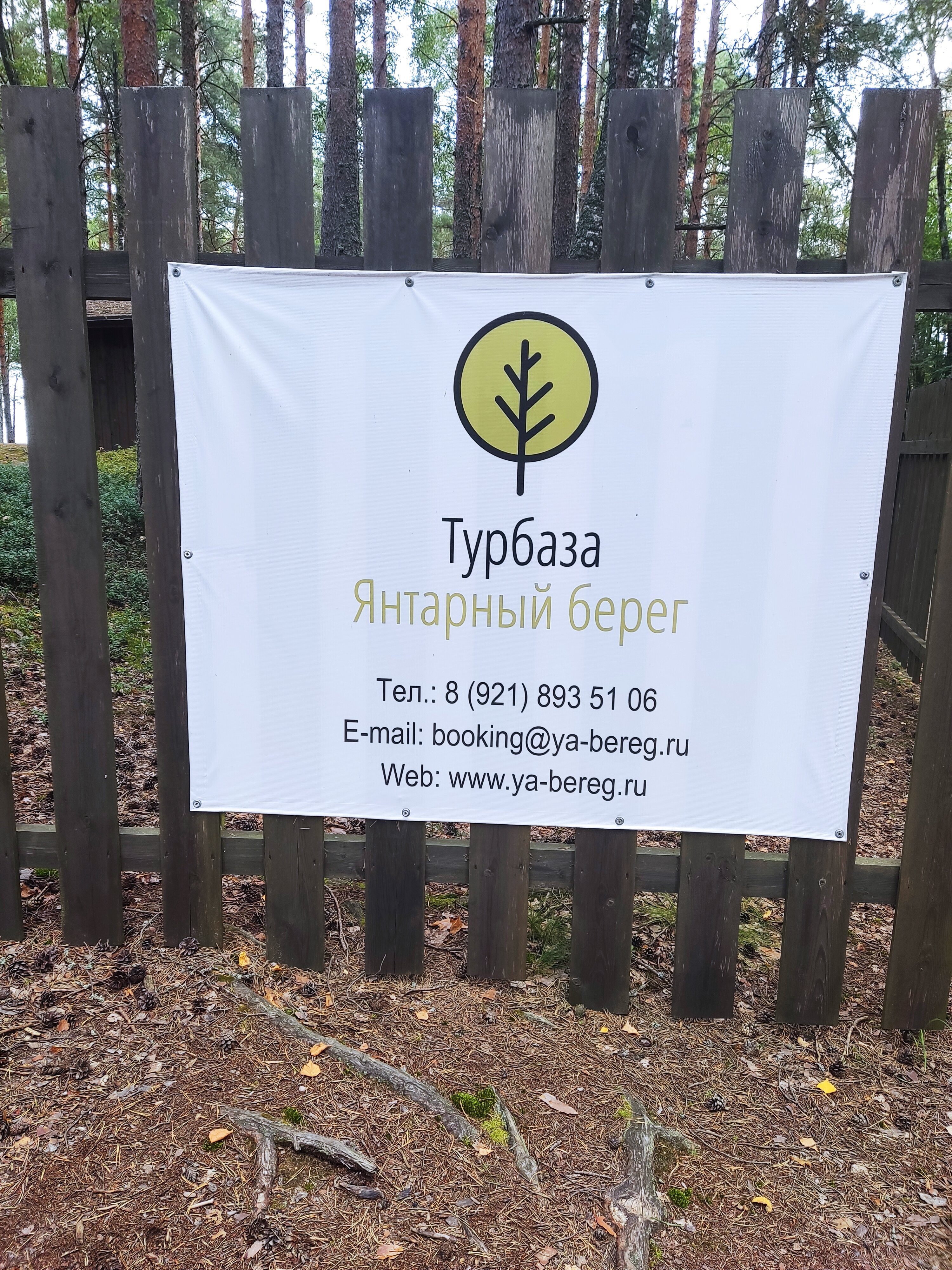 Фото Янтарный Берег