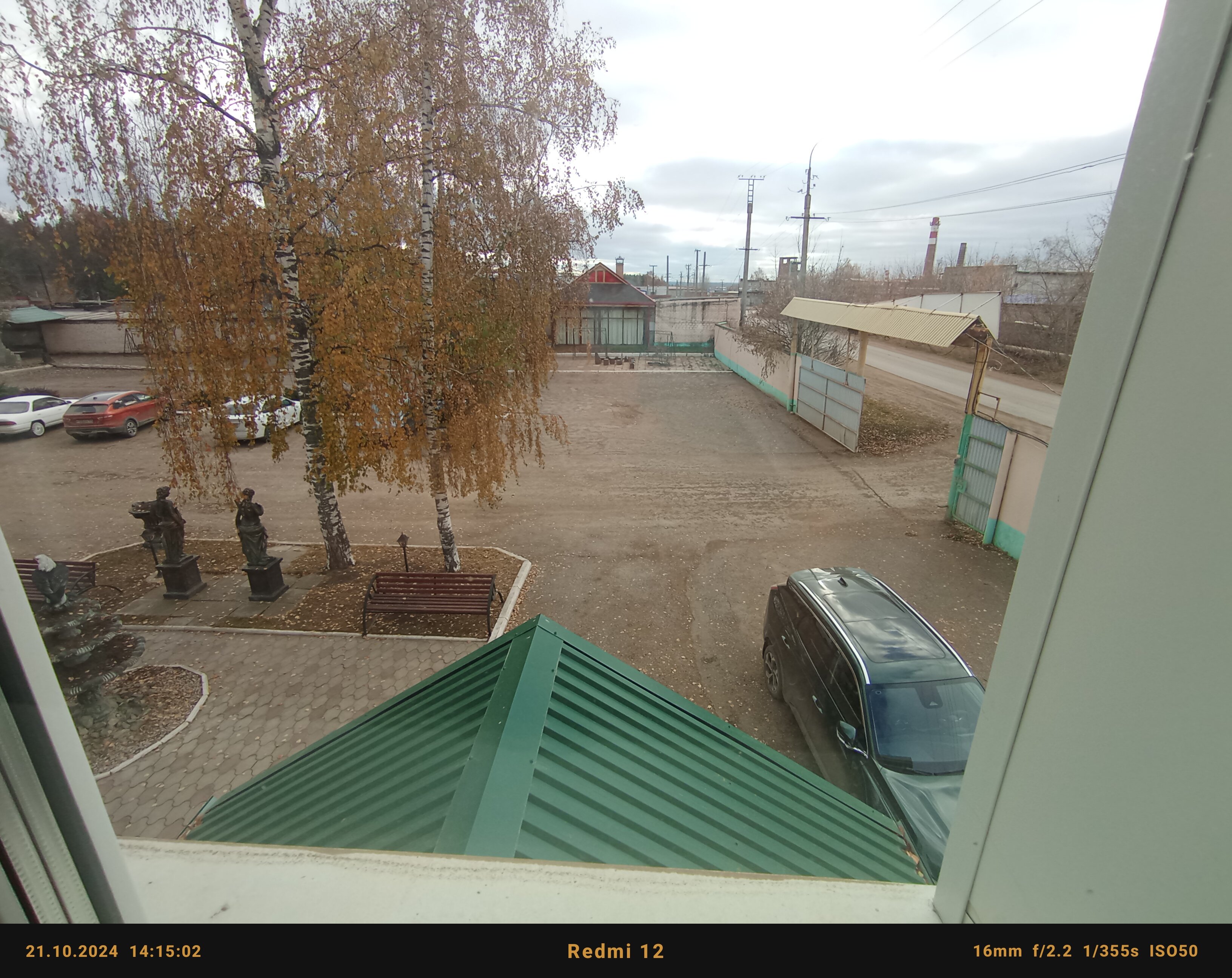 Фото Тополя