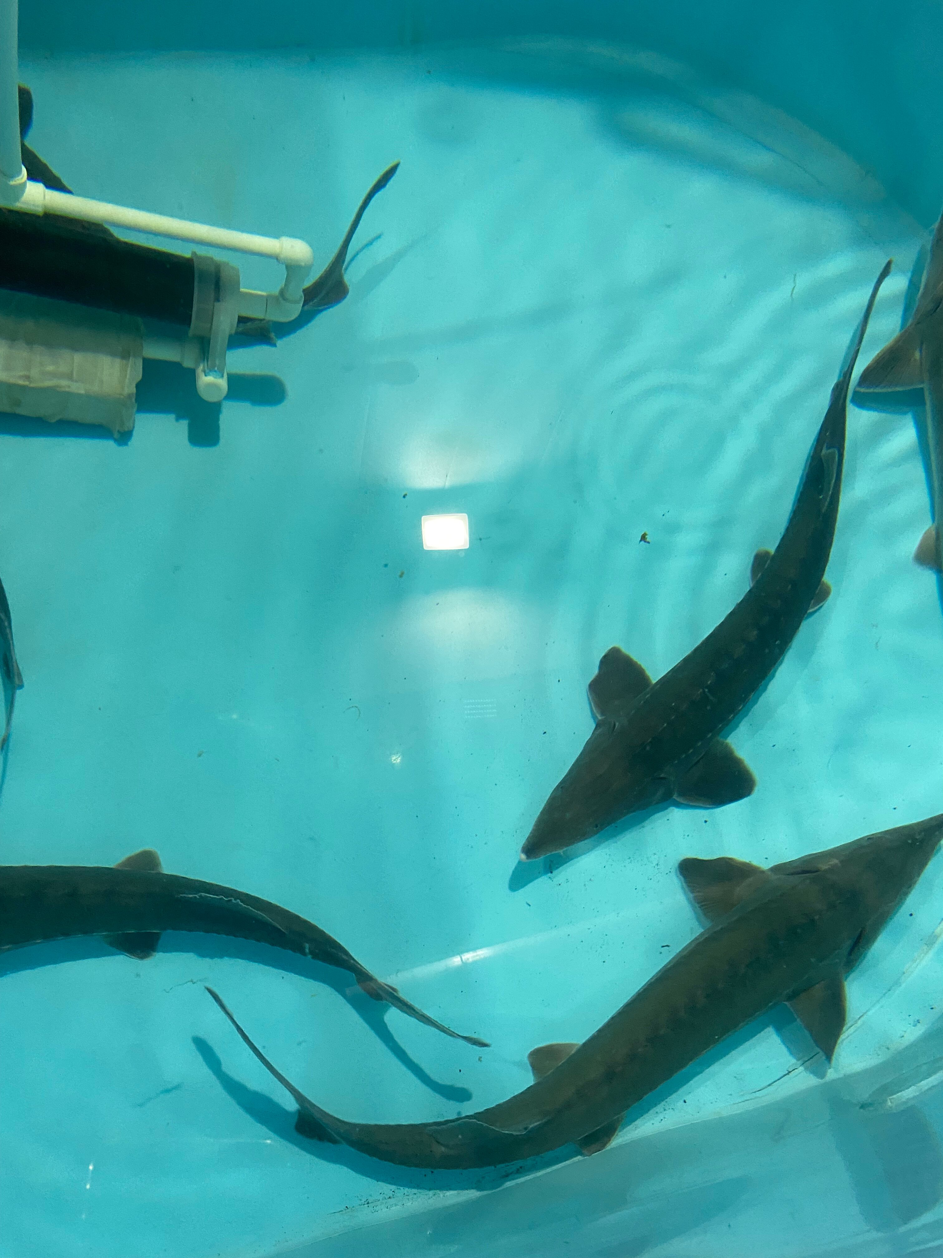 Фото Гнездо семейного счастья