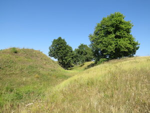 Городище Слободка (Oryol Region, Shablykinskiy rayon, Somovskoye selskoye poseleniye), atracción