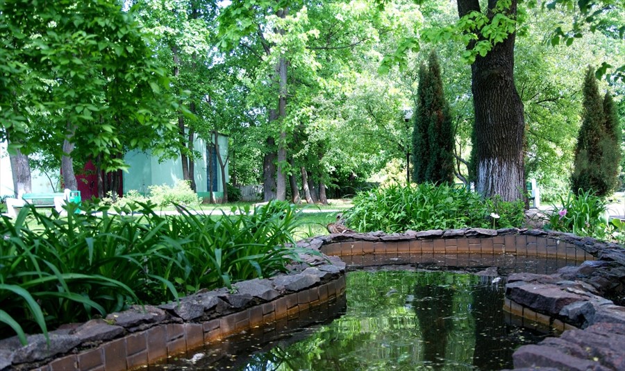 Фото Шереметьевский