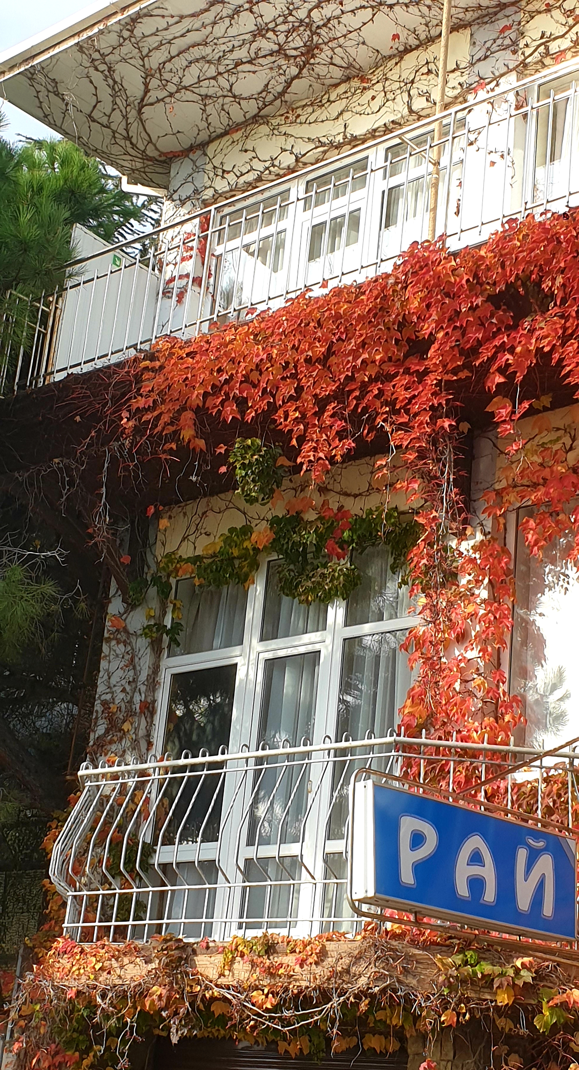 Фото Крымские зори