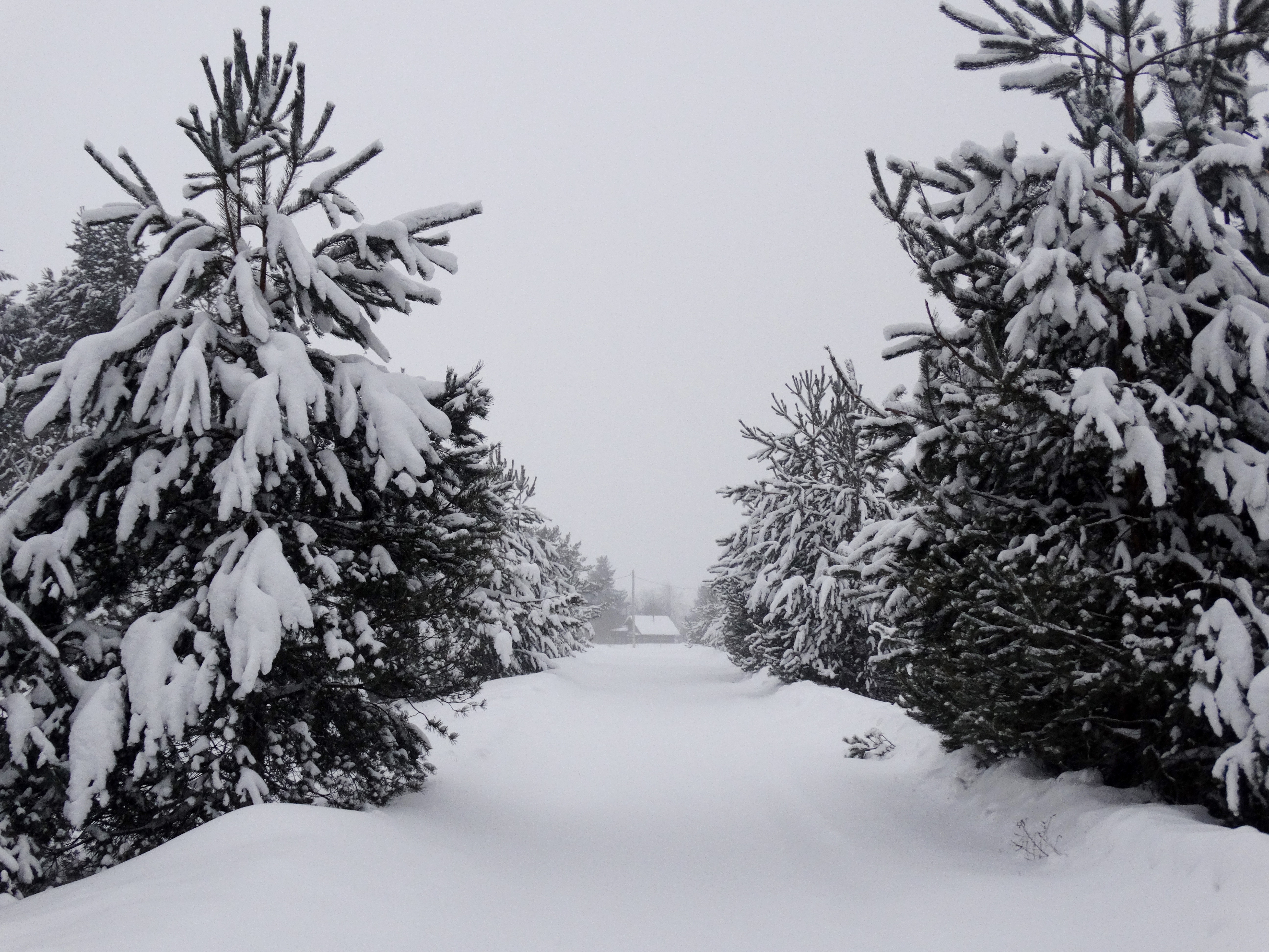 Фото Видогощи.рф