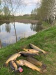 Клуб охотников и рыболовов (Bryansk Region, Navlinskiy rayon, Chichkovskoye selskoye poseleniye), hunters and fishers clubs