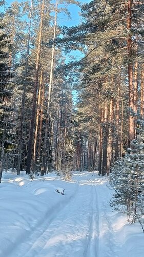 Коттеджи Петровское  фото 1