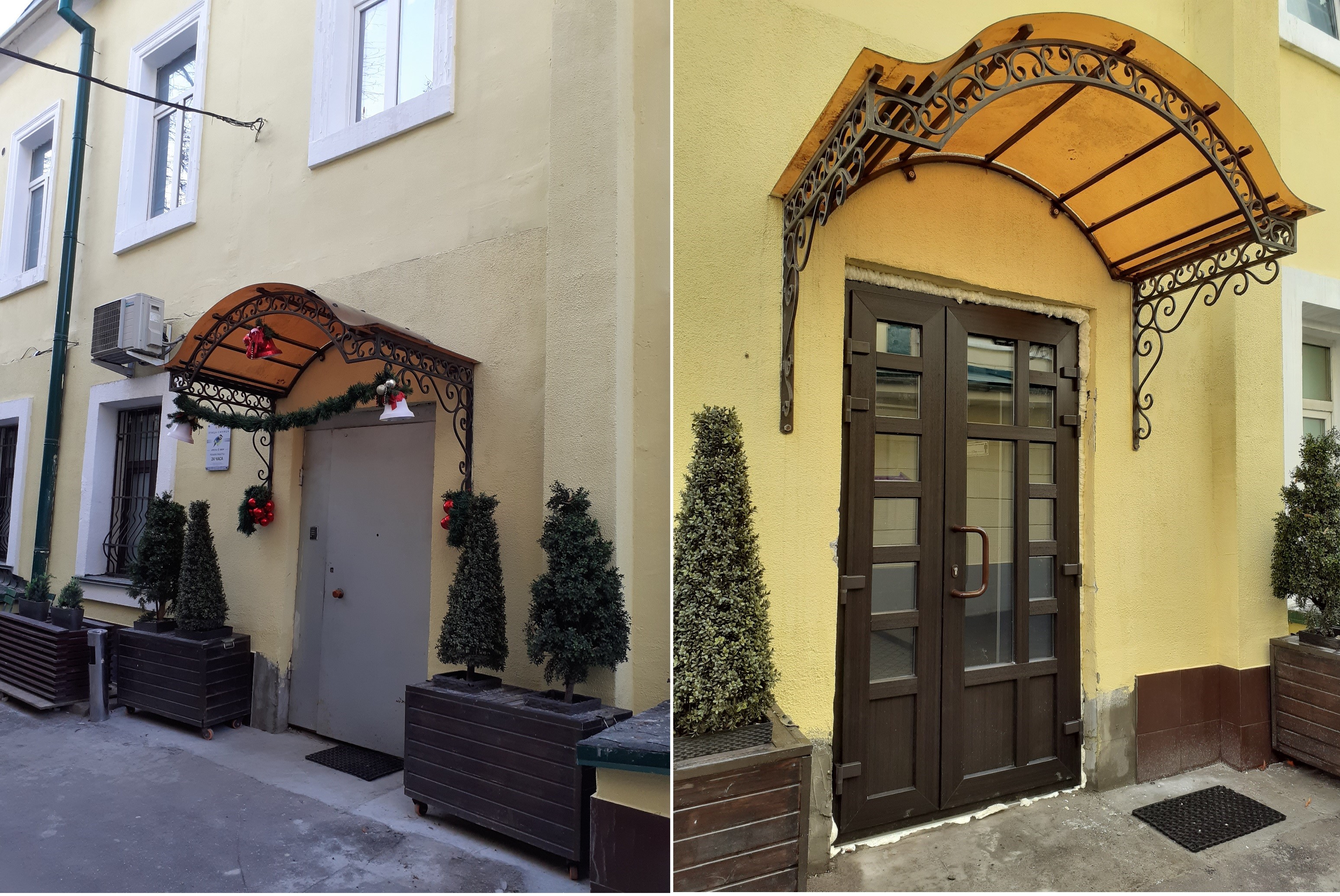 Фото Птица-Синица