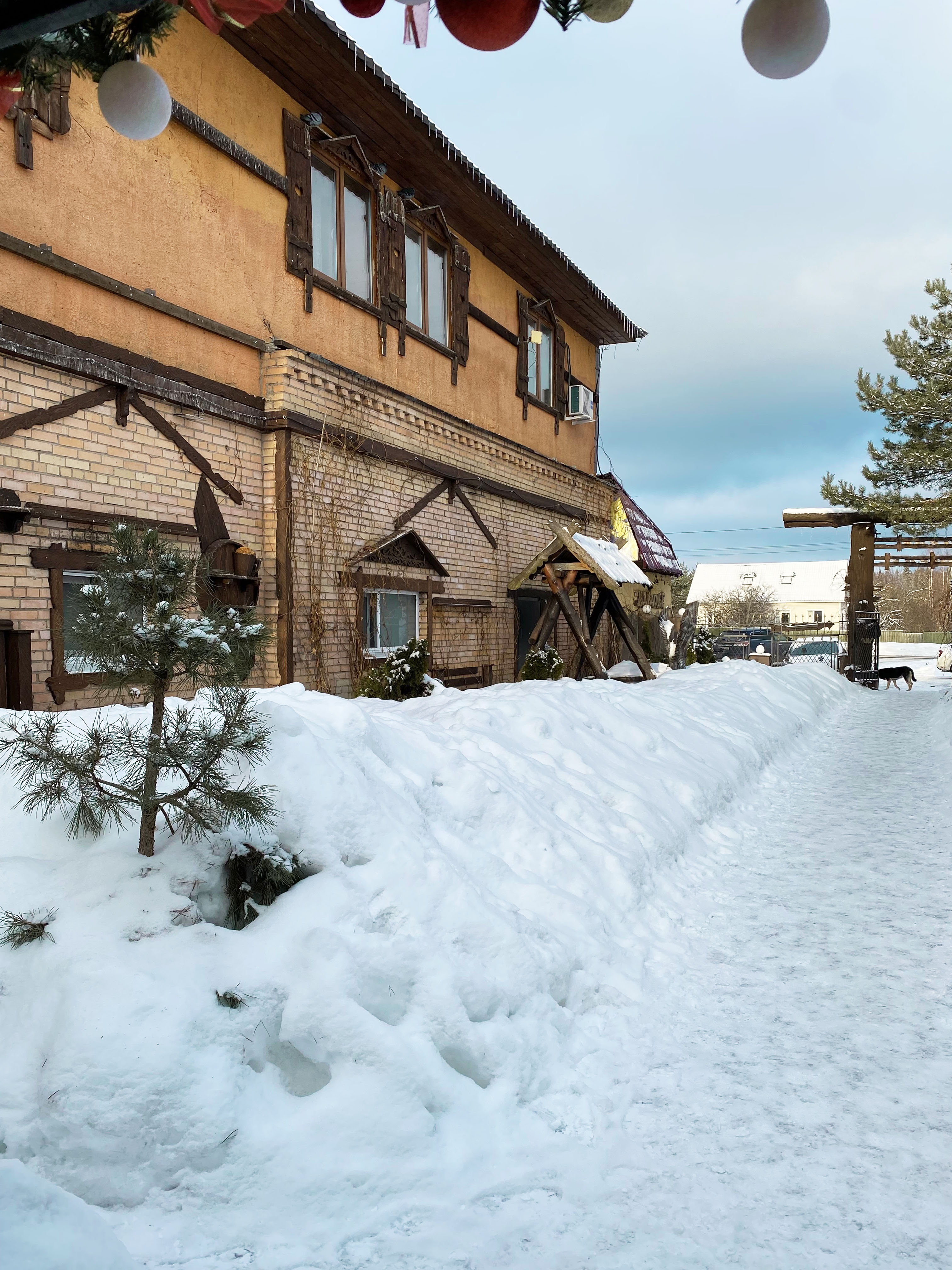 Фото Соколиное Гнездо