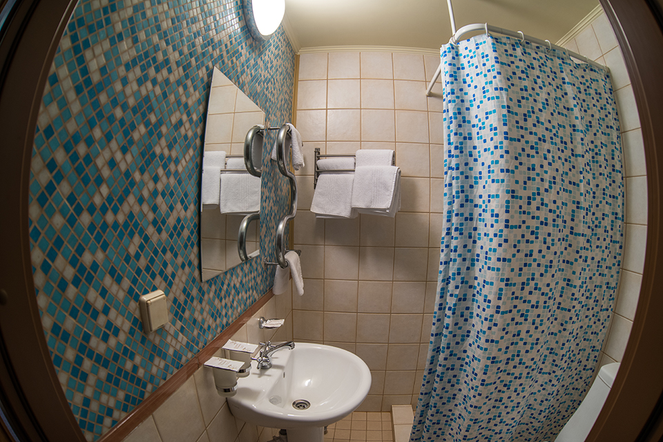 Фото Викинг I