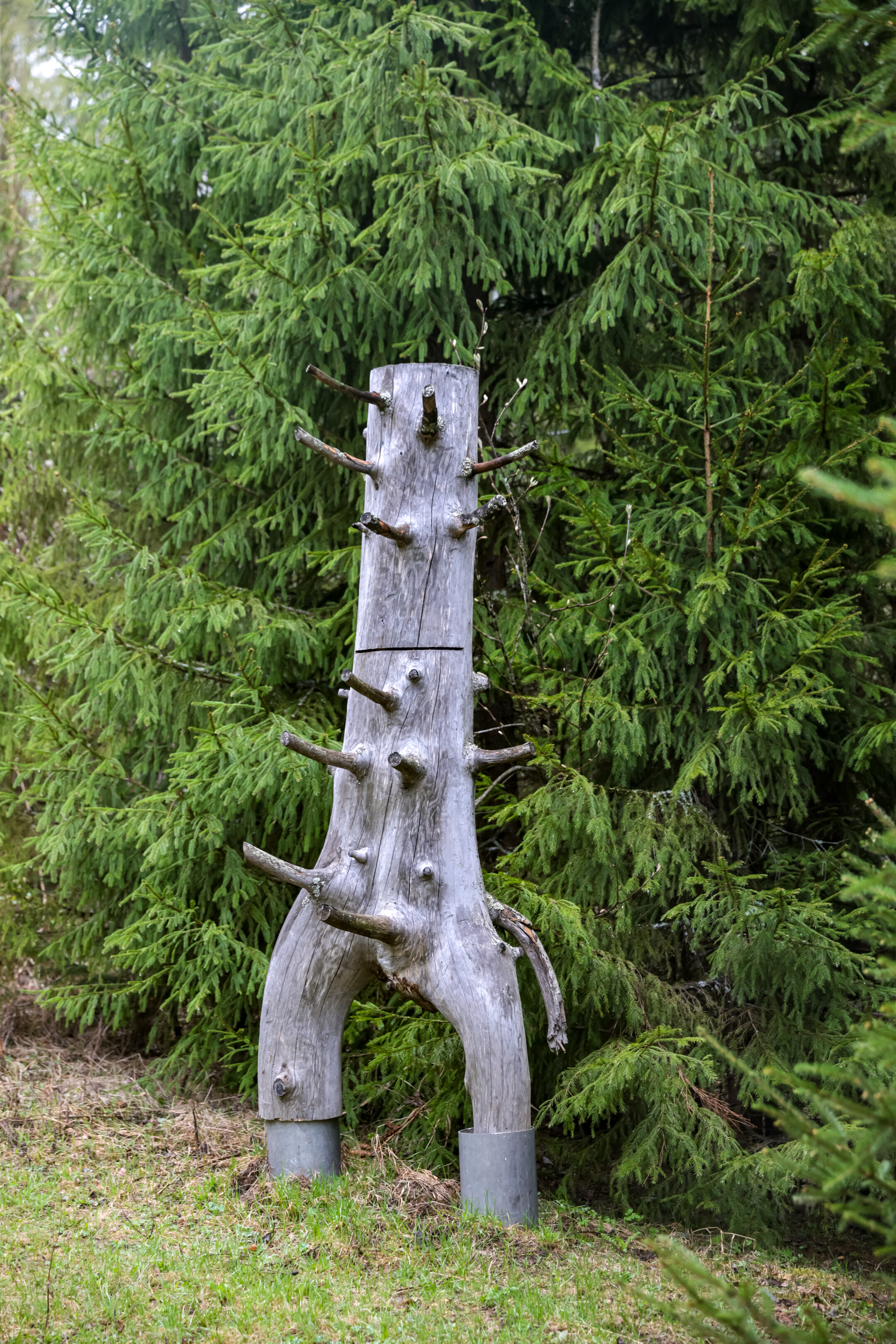 Фото Марийская Швейцария