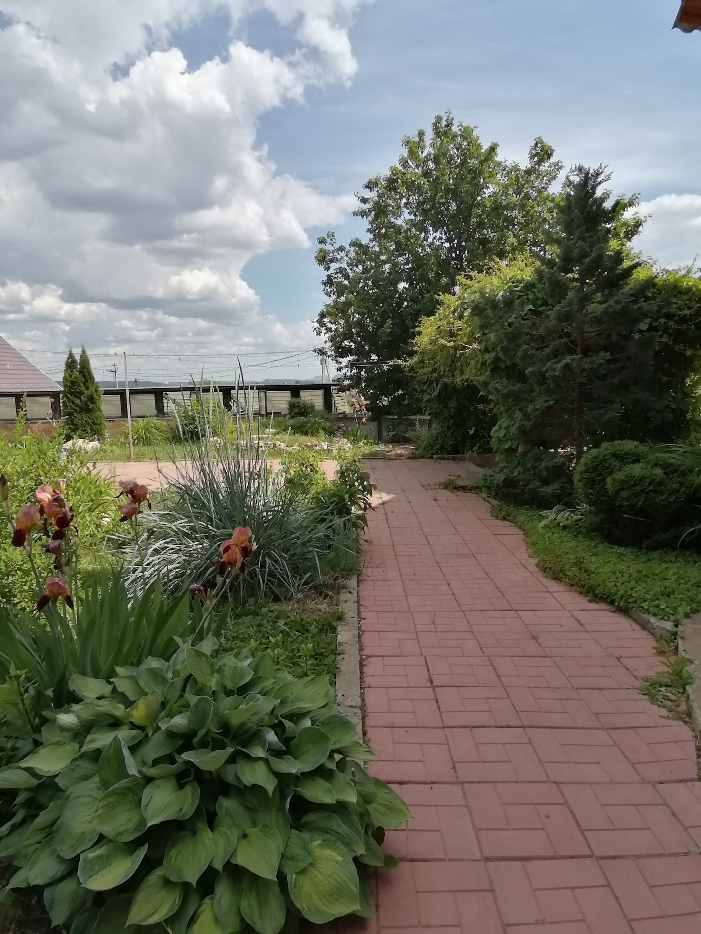 Фото Александра