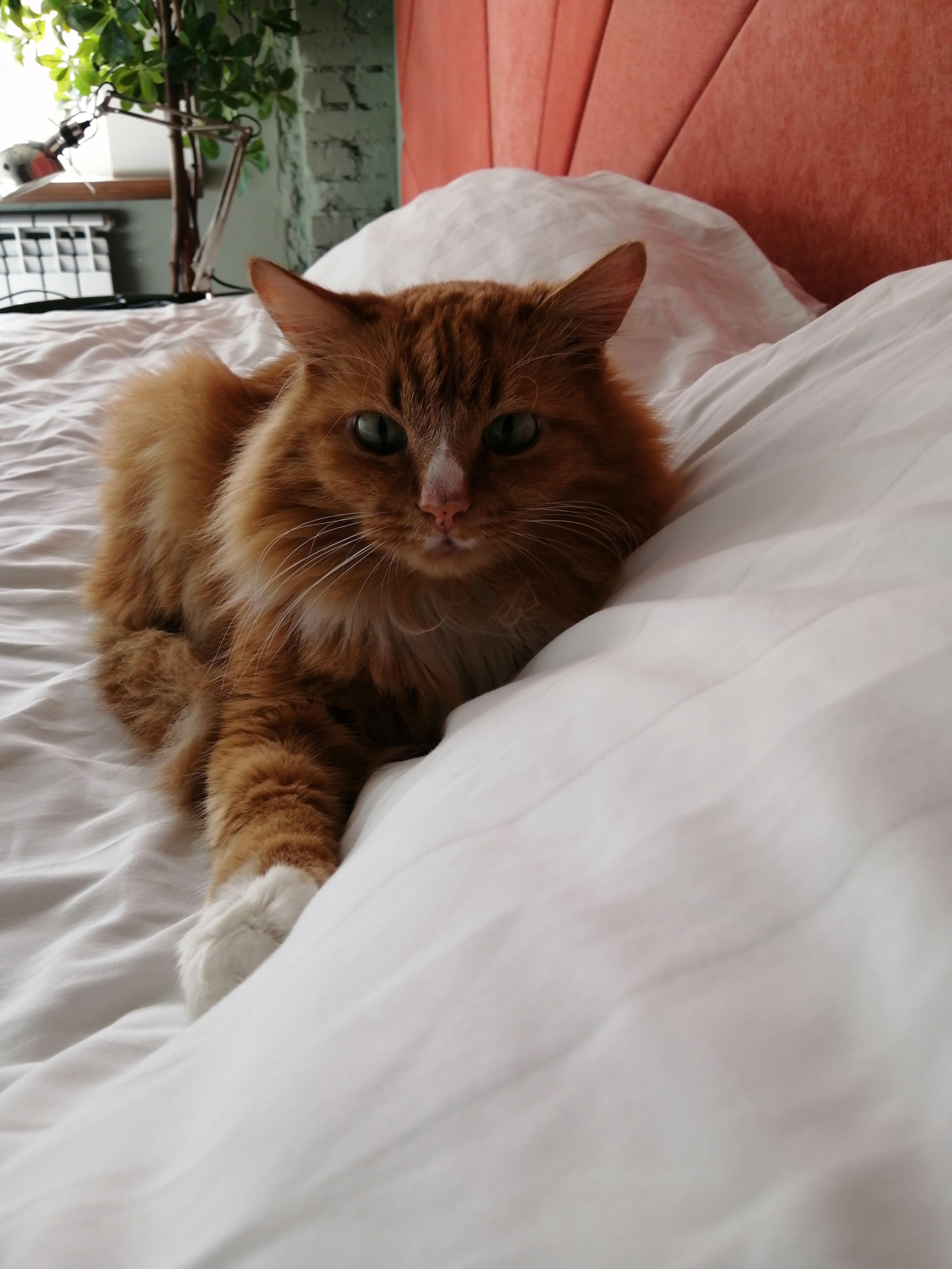 Фото Фабрика