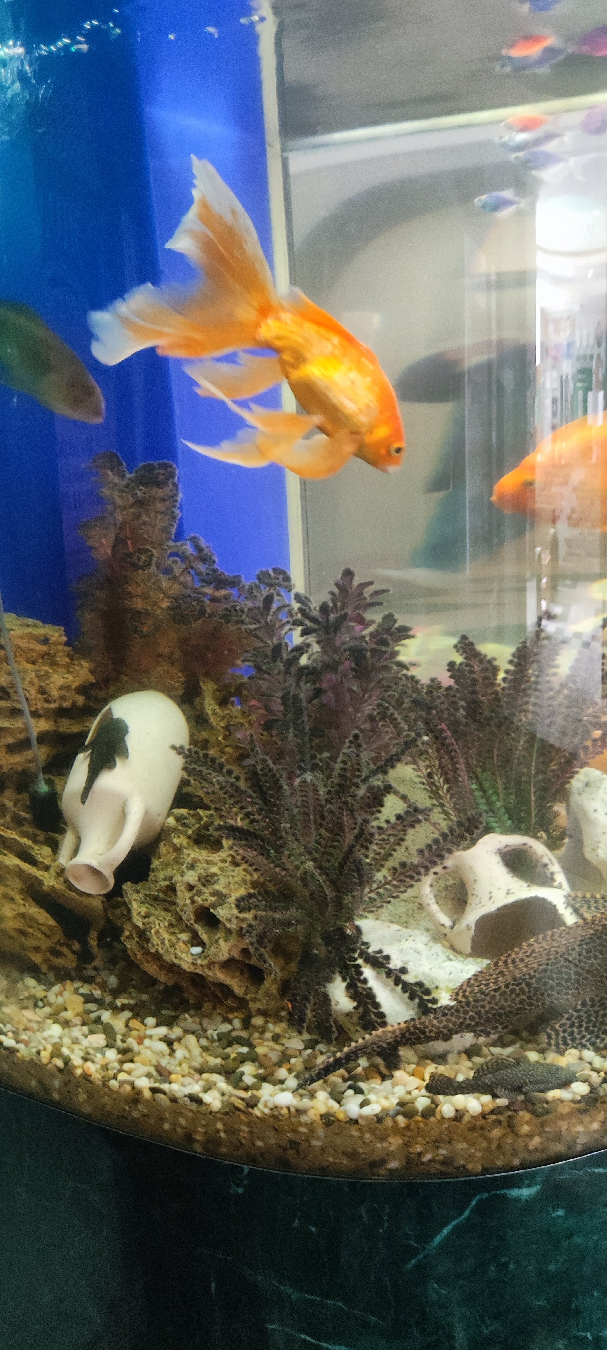 Фото 40 лет Победы