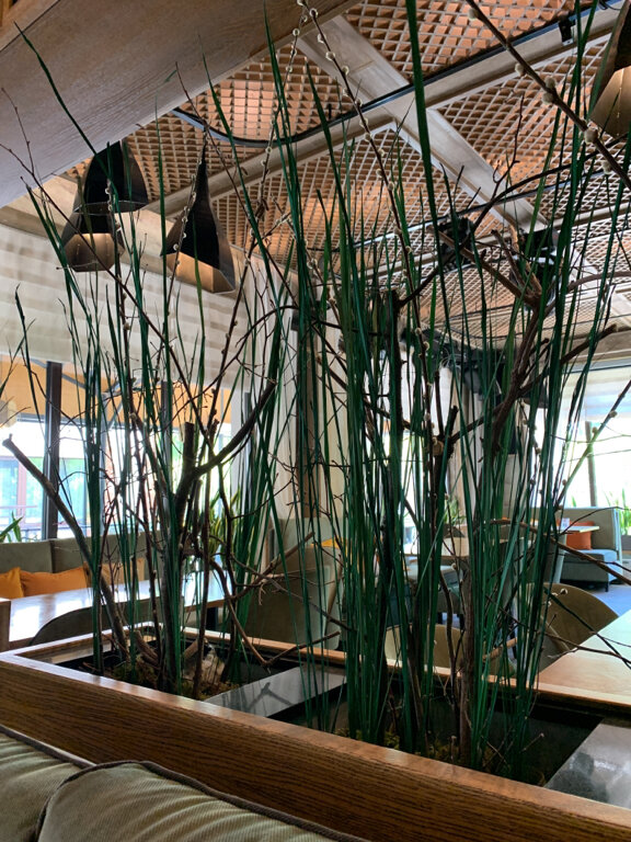 Фото Princess Frog