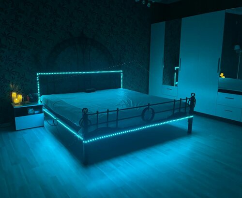 Жыныс мүйіздері