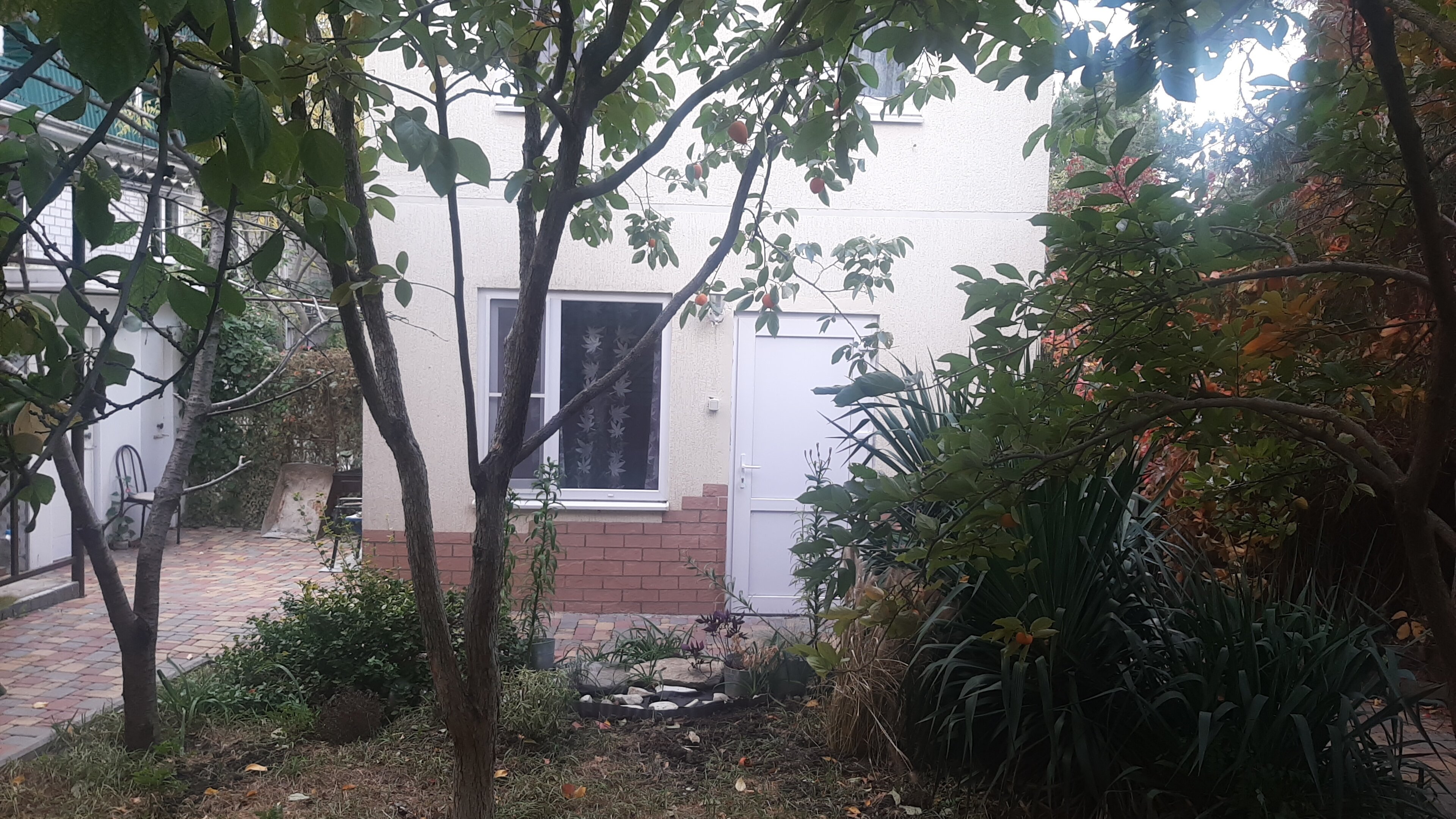 Фото Фамилия