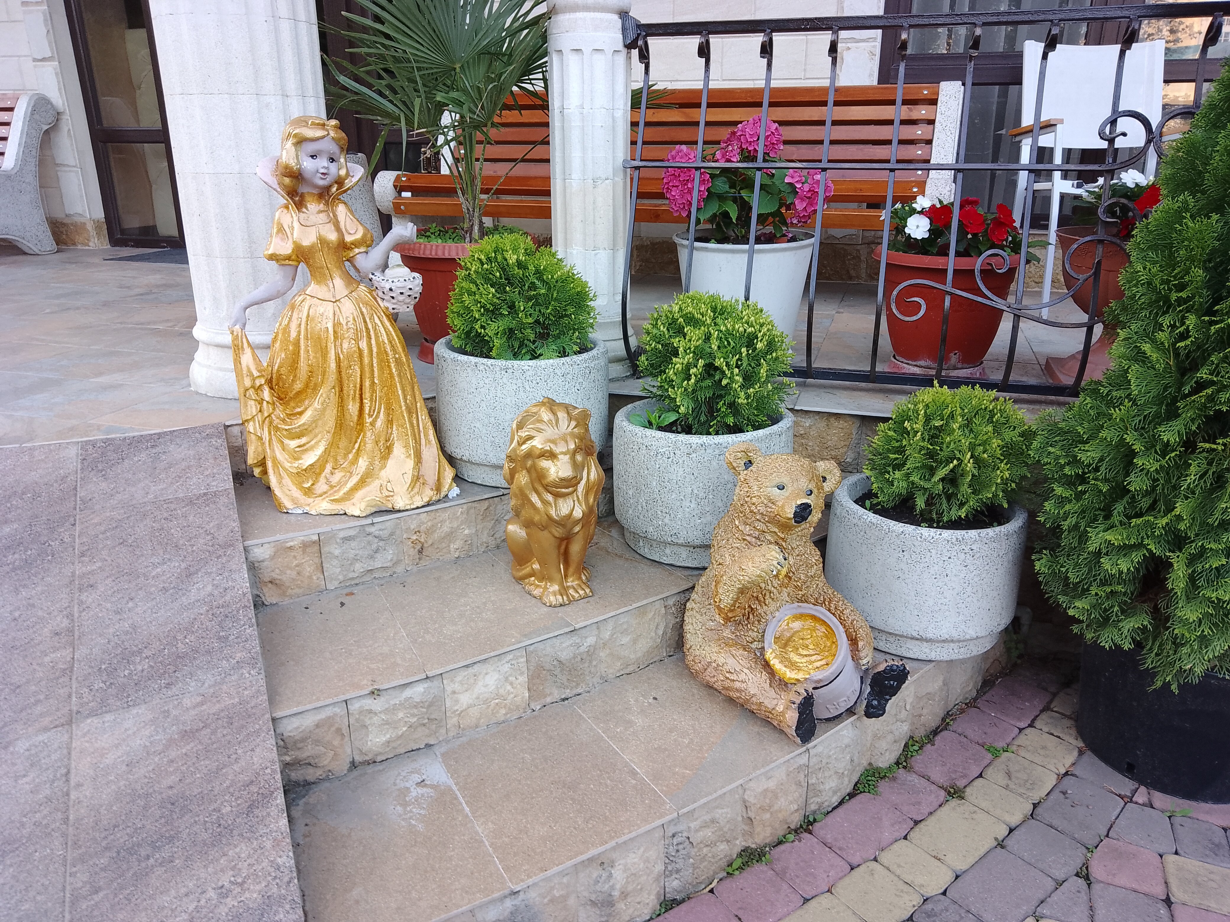 Фото Золотая Корона