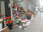 Mary Fleur (Adler, Sadovaya Street, 26), flower shop