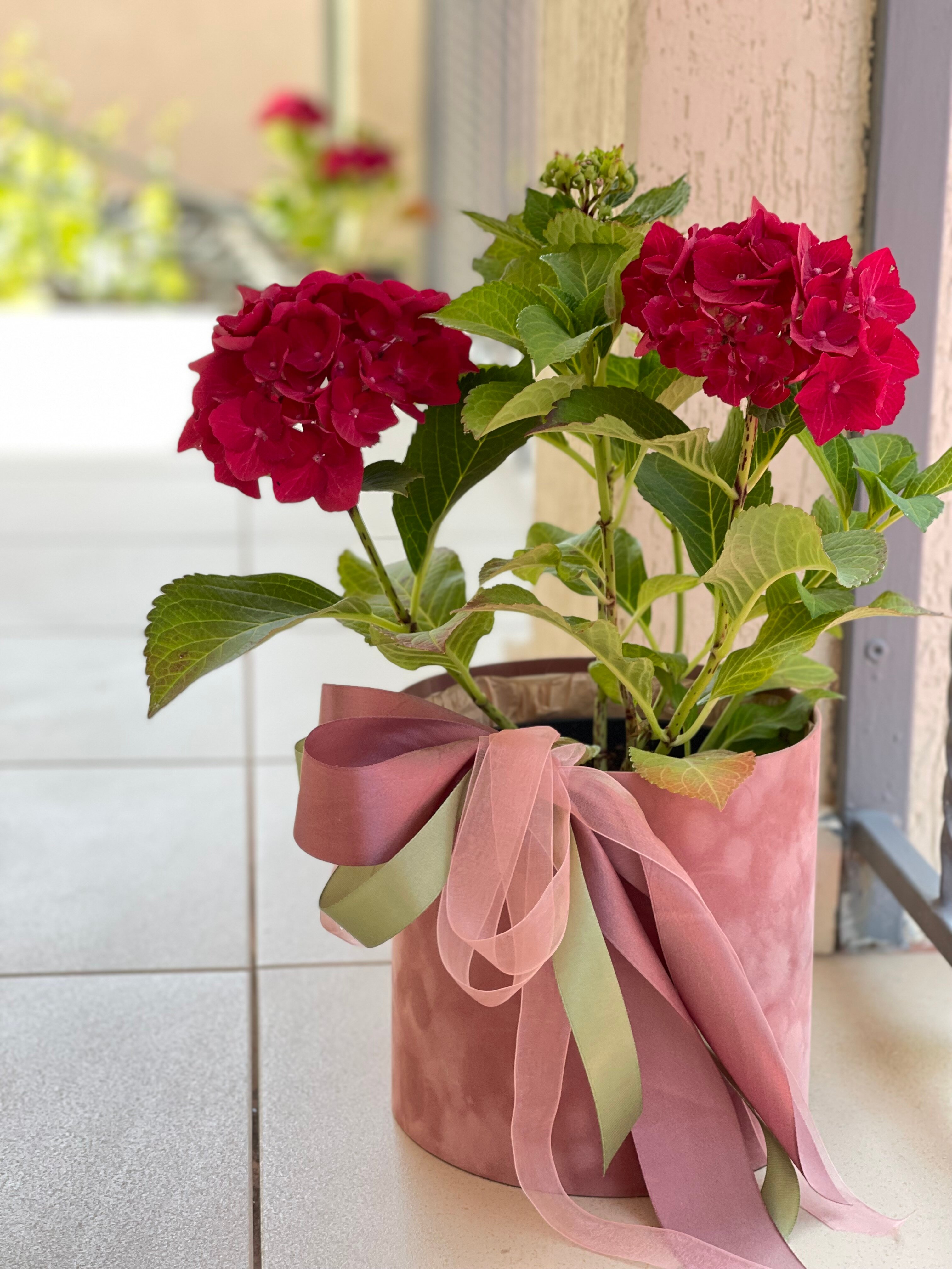 Фото Селена