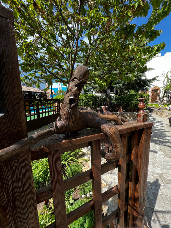 Фото Дом Дракона