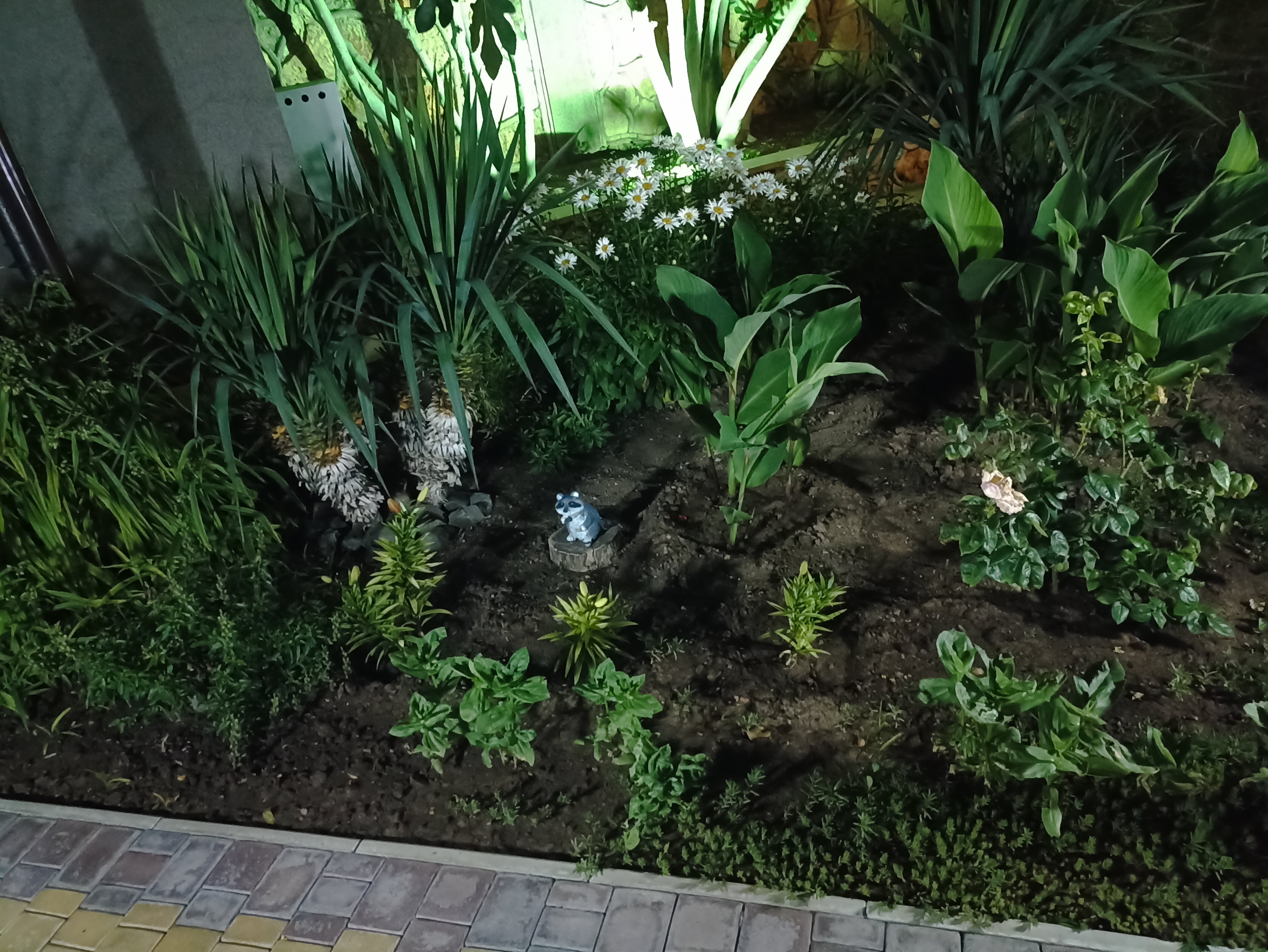 Фото У Борисовны