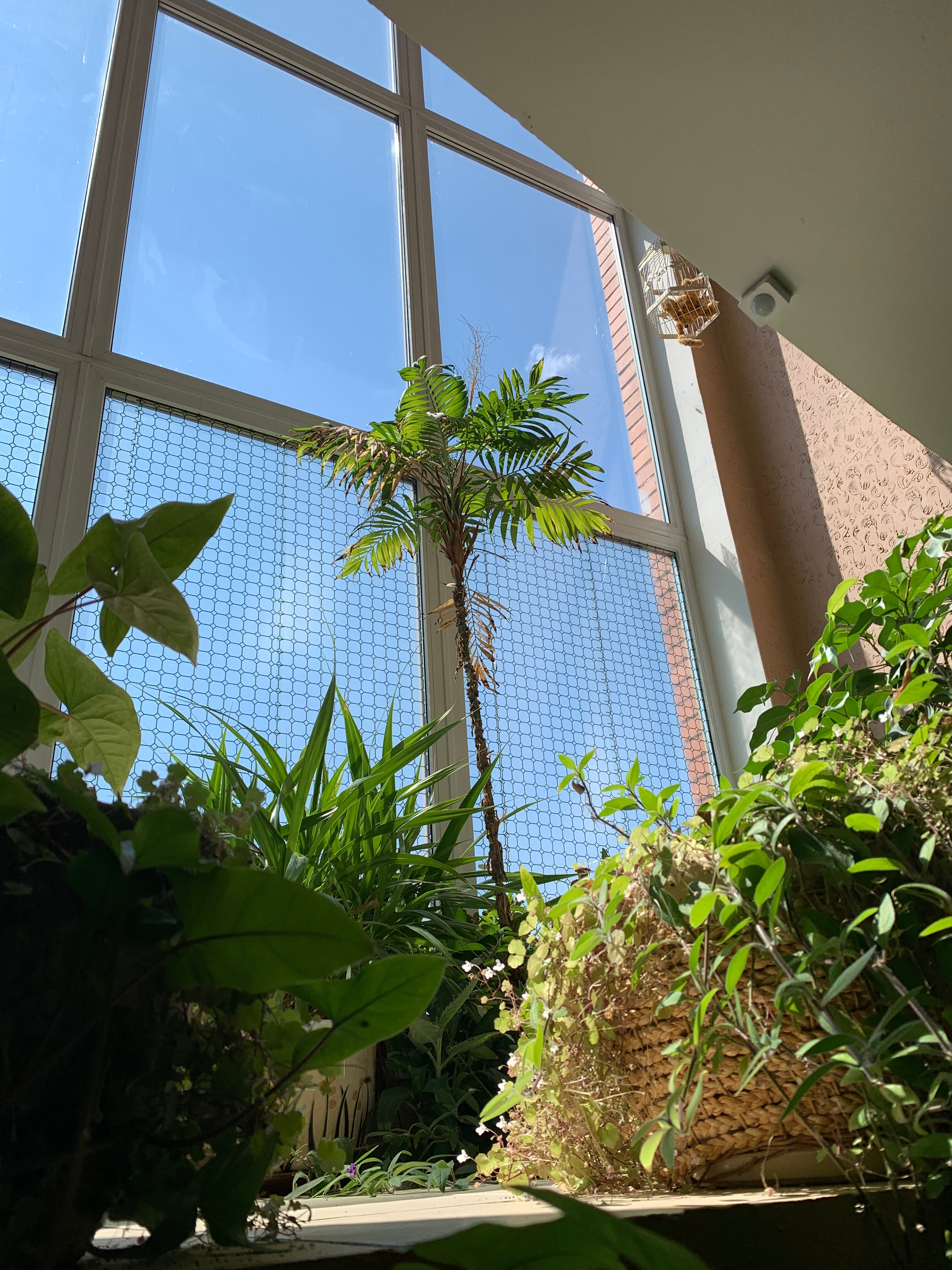 Фото Ливадия