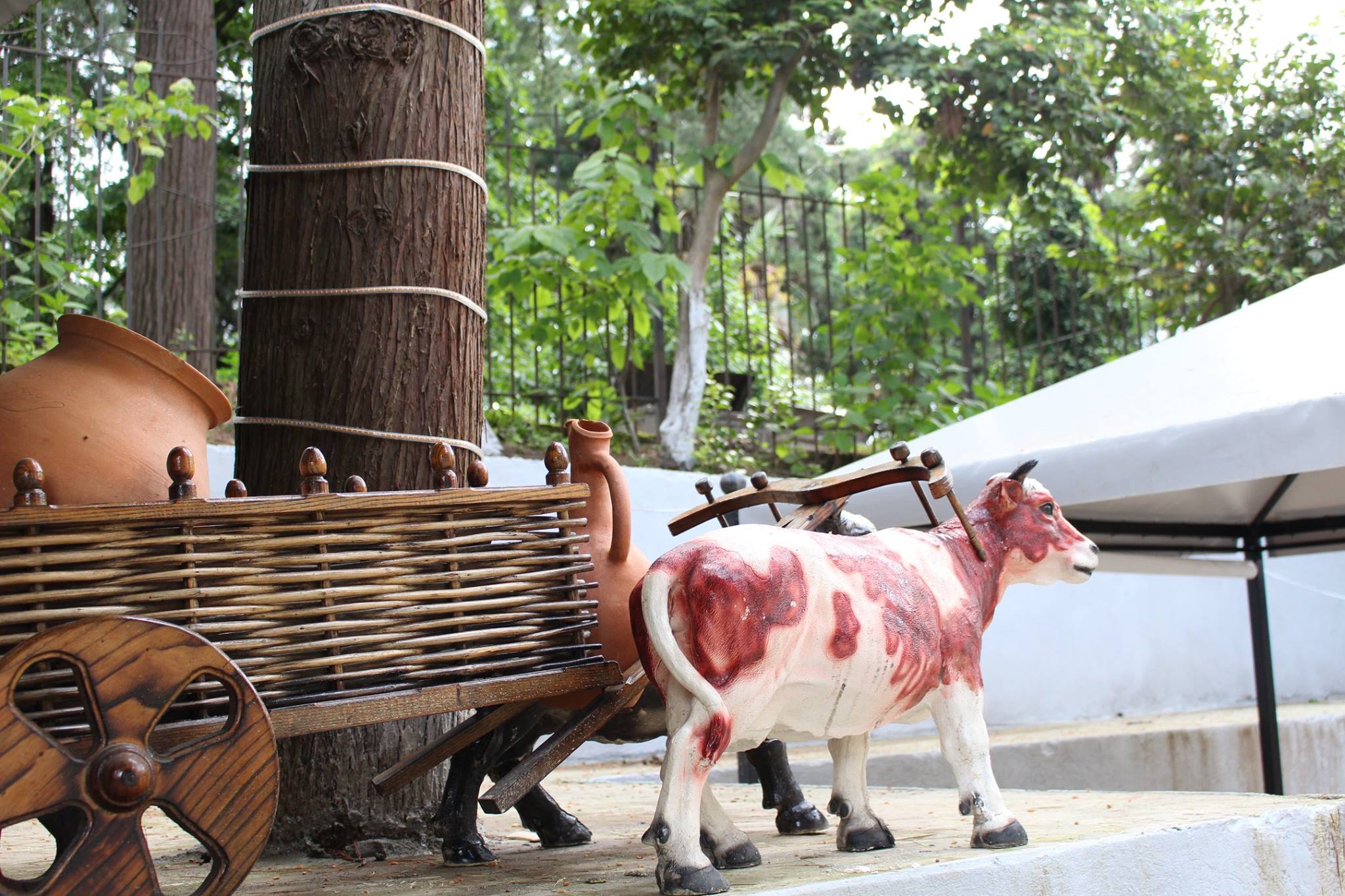 Фото Hotel Nine Brothers