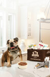 Furchild Pet Nutrition (7, 2nd Street, Al Quoz 3, Al Qouz, Hadaeq Mohammed Bin Rashid, Dubai), pet shop