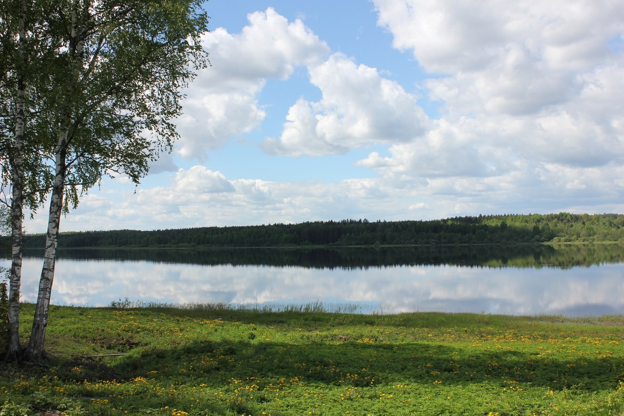 Фото Солнечная