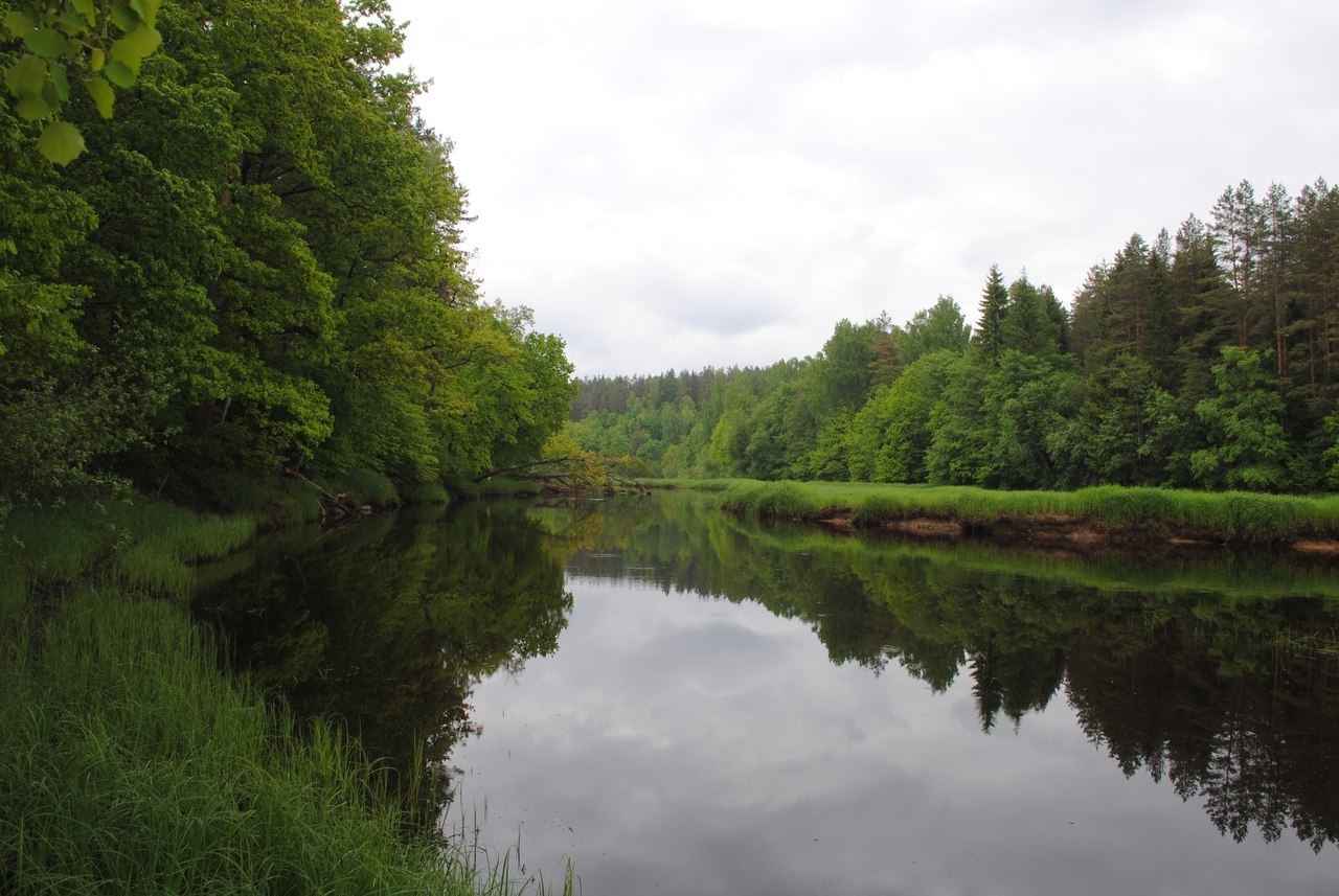 Фото Солнечная