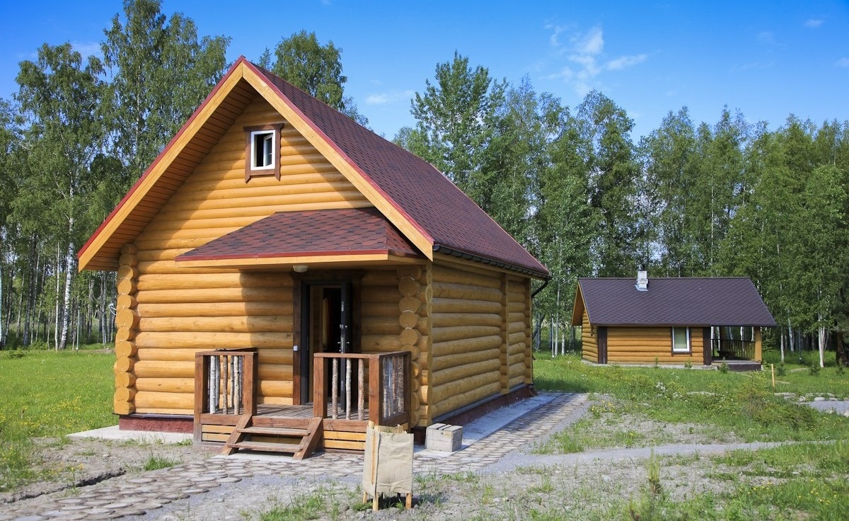 Фото Озерный берег