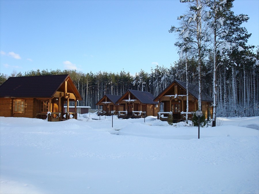 Фото Сосновый бор