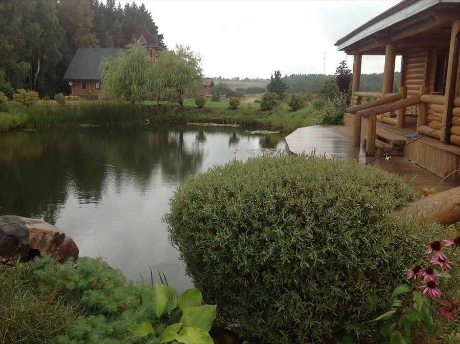 Фото Усадьба Терема