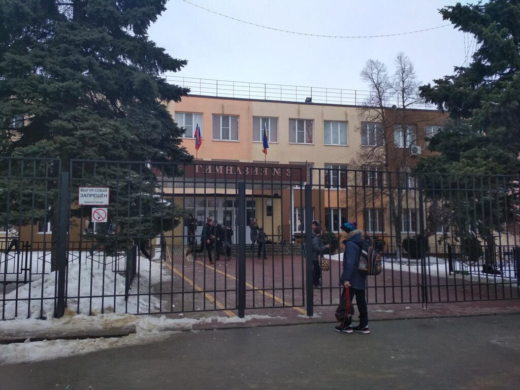 Гимназия no 3 ул чапаева 299 фото